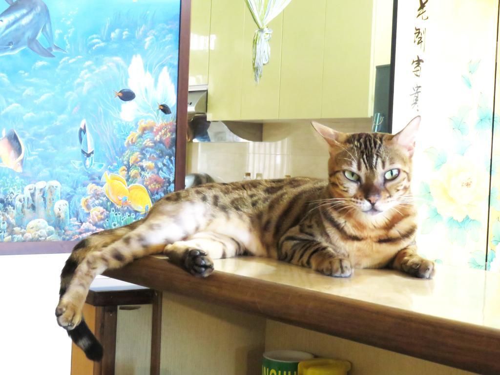 Tou Cheng Whale Watching Homestay Toucheng Exterior photo